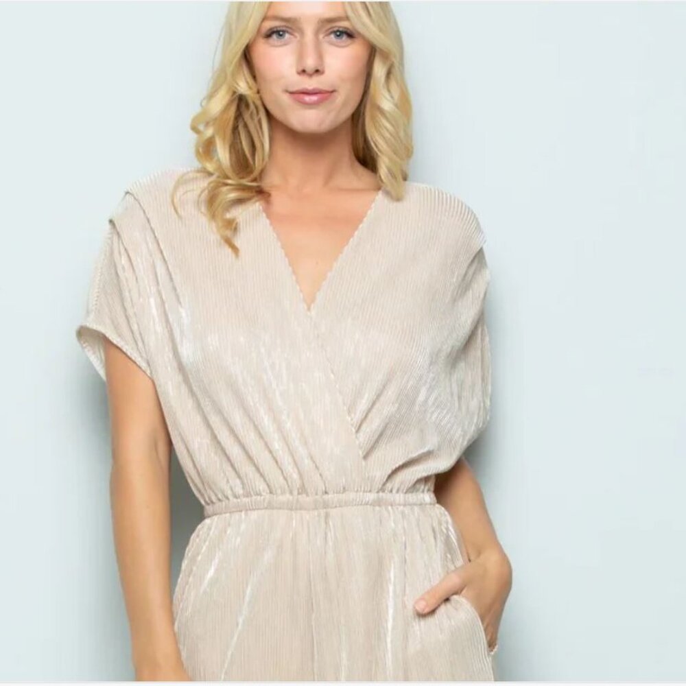 Anthropologie x Porridge Pleated Metallic Wide Leg Jumpsuit Small Tall